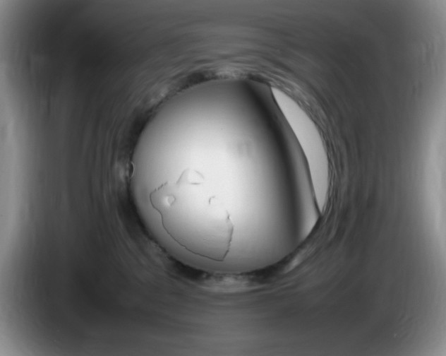 X0000083600329200703091746