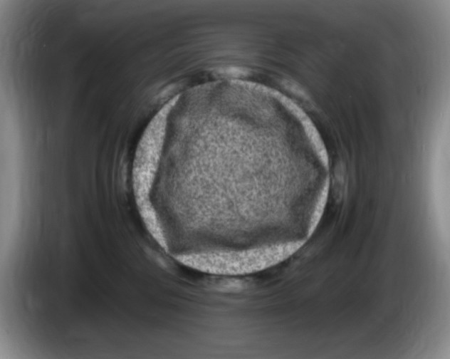 X0000083600330200703091746