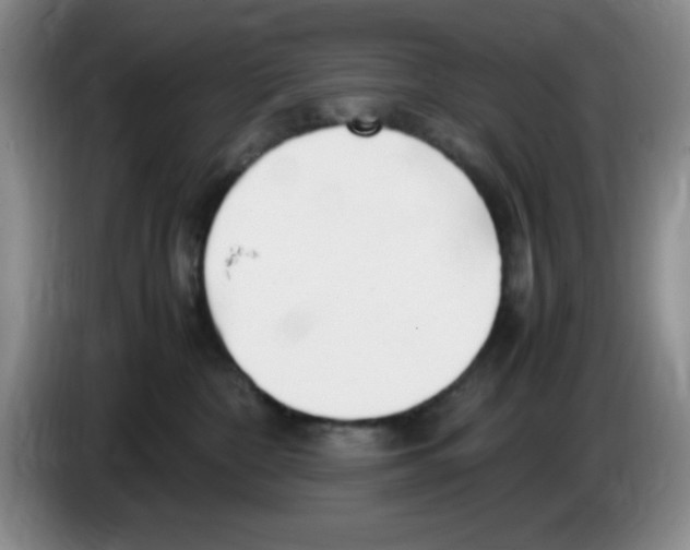 X0000083600332200703091746