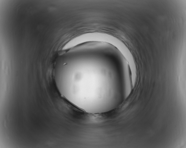 X0000083600333200703091746