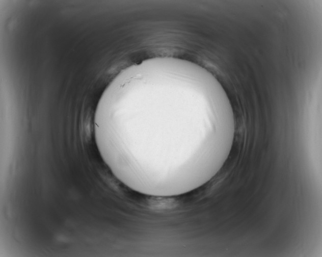 X0000083600334200703091746