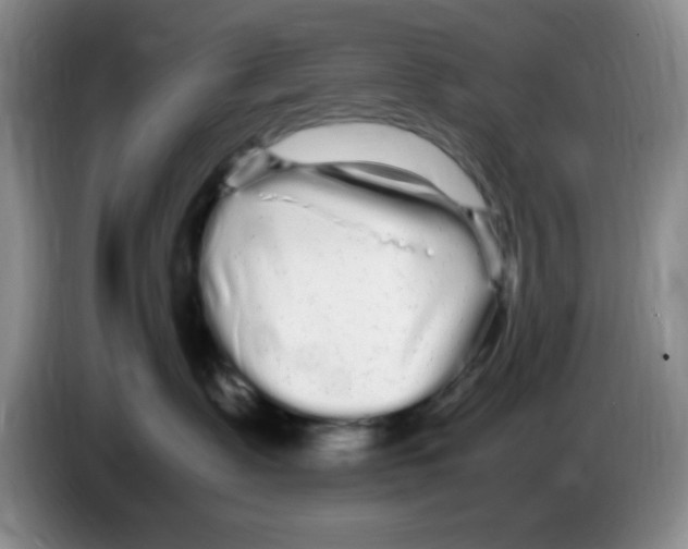 X0000083600335200703091746