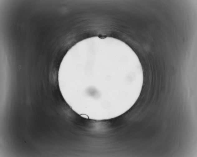 X0000083600336200703091746