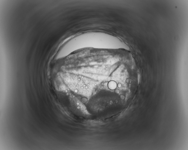 X0000083600339200703091746