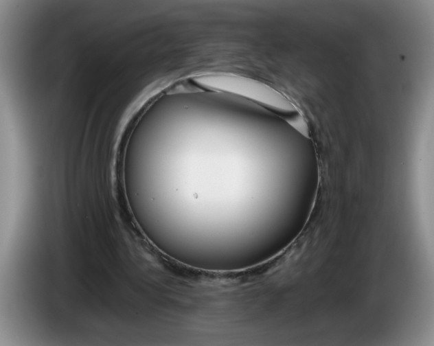 X0000083600340200703091746