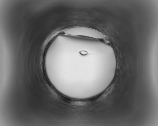 X0000083600341200703091746