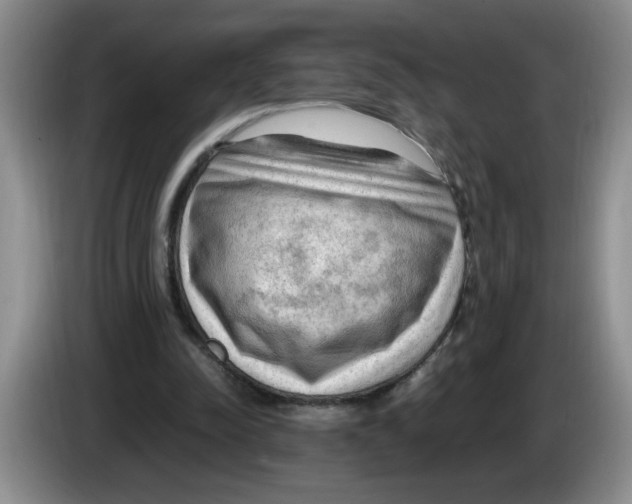 X0000083600342200703091746