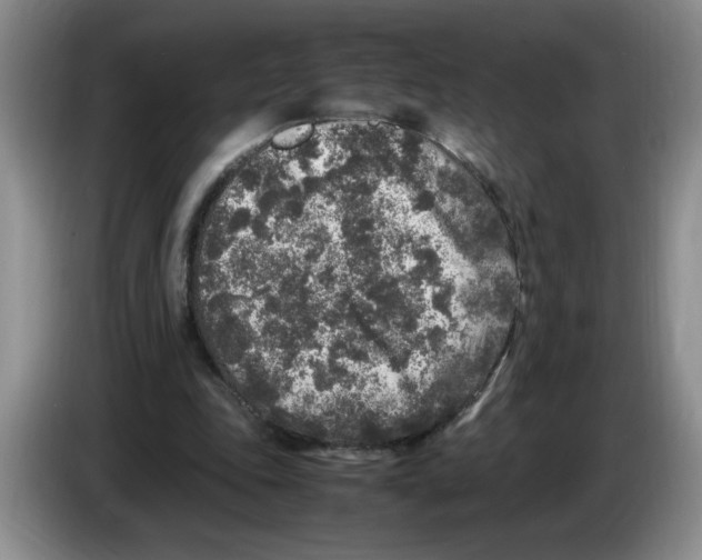 X0000083600343200703091746