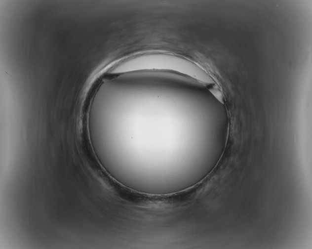 X0000083600344200703091746