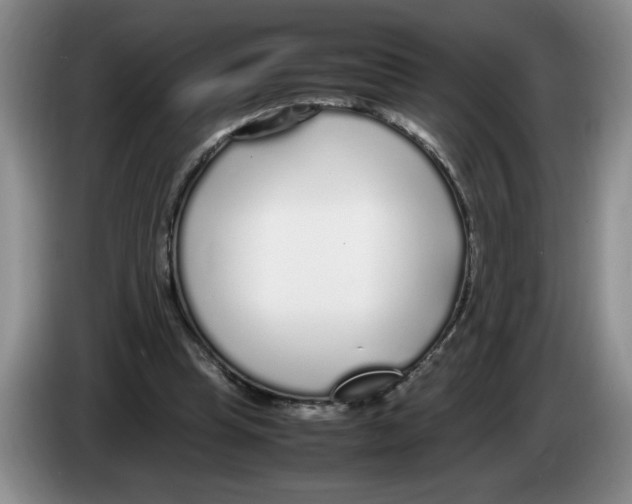 X0000083600345200703091746