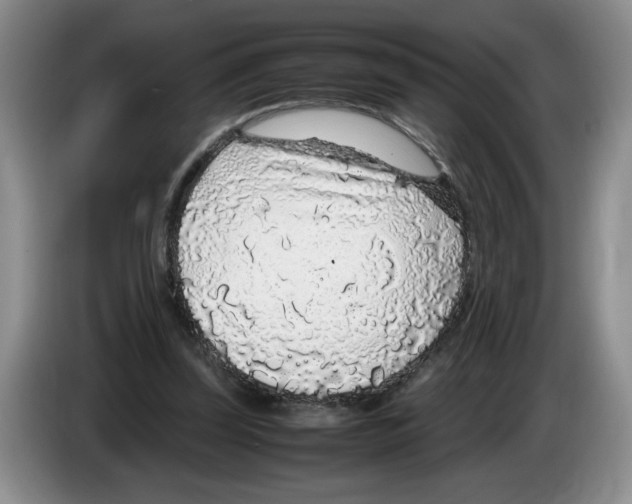 X0000083600347200703091746