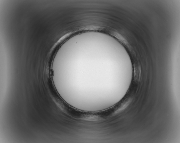 X0000083600348200703091746