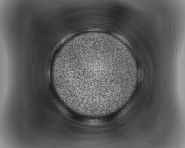 X0000083600349200703091746