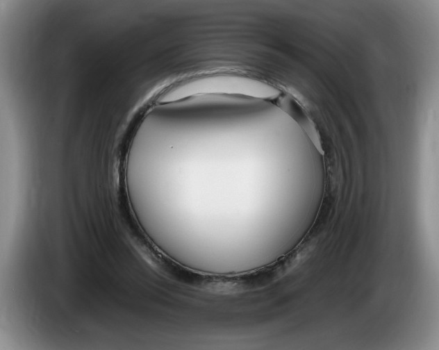 X0000083600350200703091746