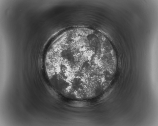 X0000083600351200703091746