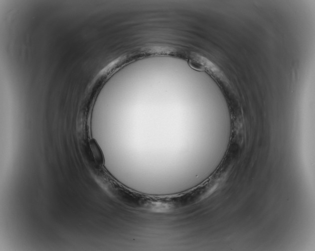 X0000083600352200703091746