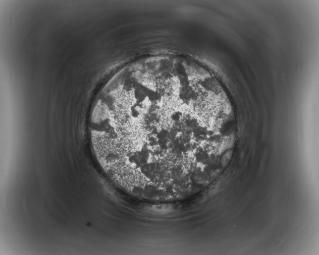 X0000083600353200703091746