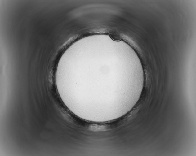 X0000083600354200703091746