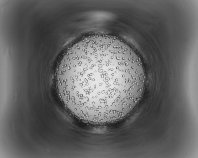 X0000083600355200703091746