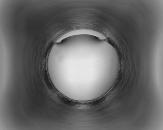 X0000083600356200703091746