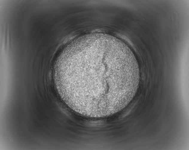 X0000083600357200703091746