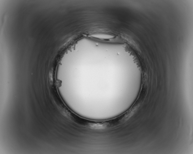 X0000083600358200703091746
