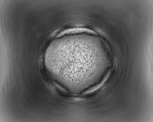 X0000083600360200703091746