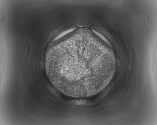 X0000083600361200703091746