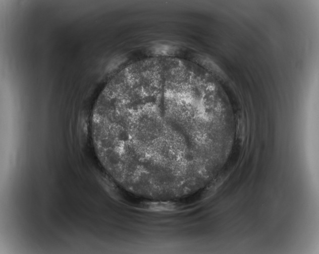 X0000083600363200703091746