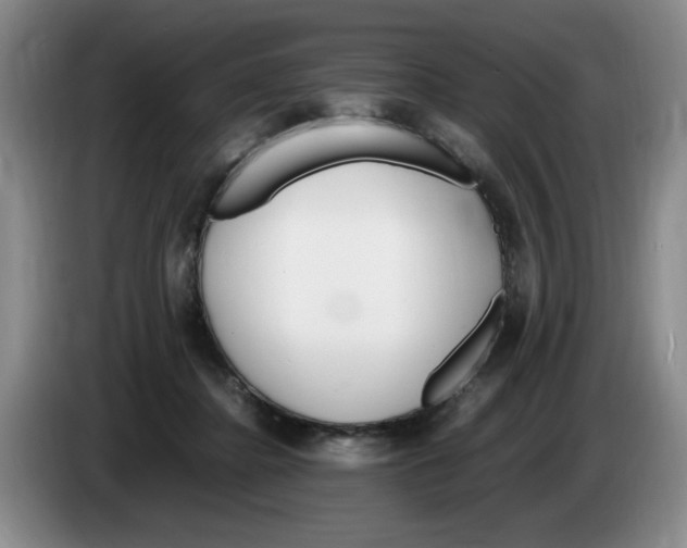 X0000083600364200703091746