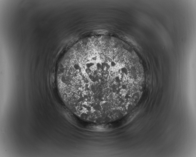 X0000083600365200703091746