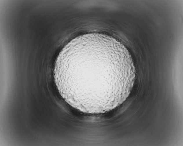 X0000083600366200703091746