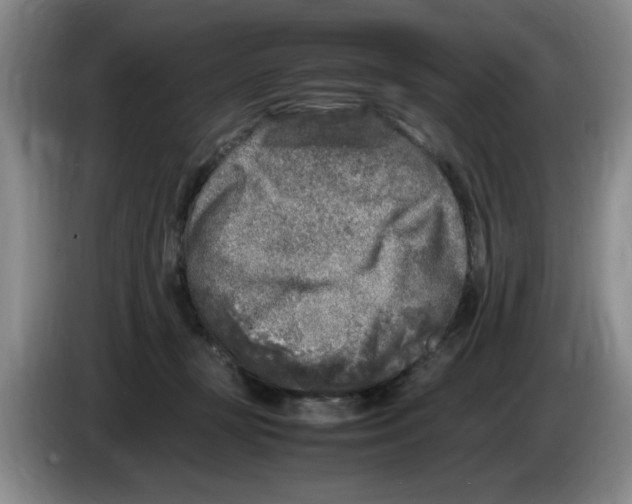 X0000083600367200703091746