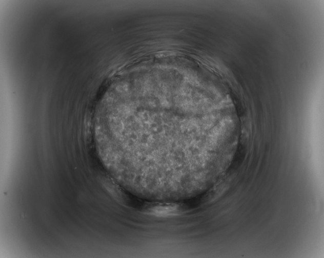 X0000083600369200703091746