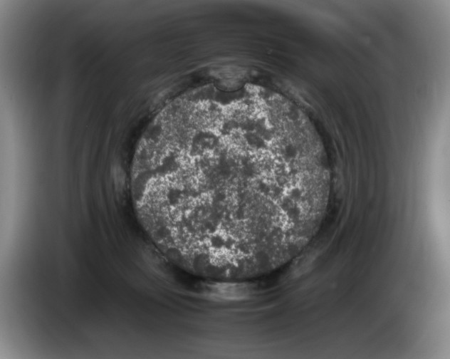 X0000083600371200703091746