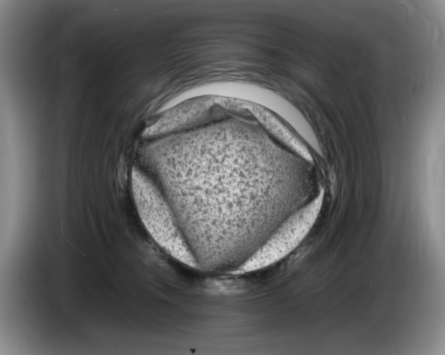 X0000083600372200703091746