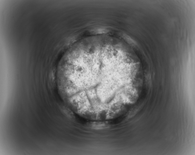 X0000083600373200703091746