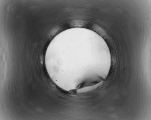 X0000083600374200703091746