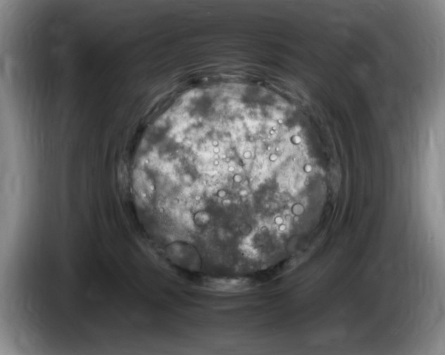 X0000083600375200703091746