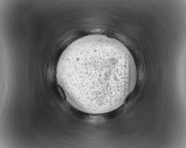 X0000083600376200703091746