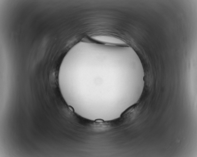 X0000083600378200703091746