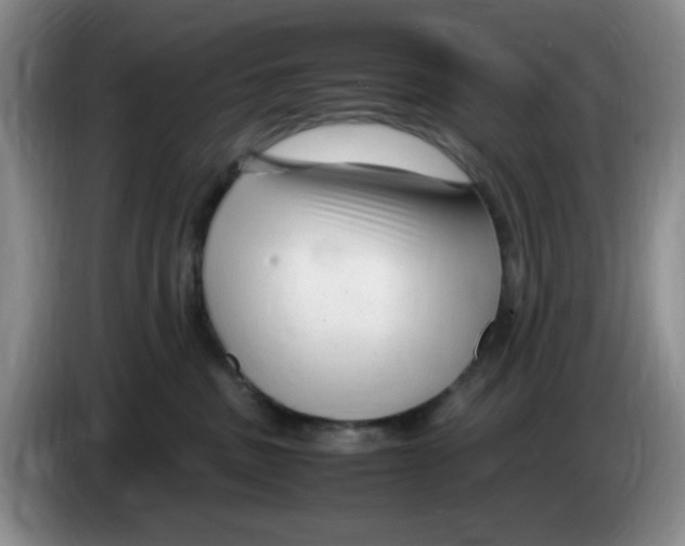 X0000083600379200703091746