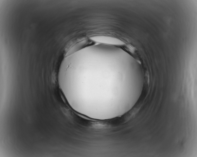 X0000083600380200703091746