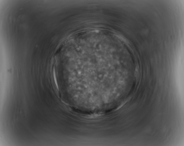 X0000083600381200703091746