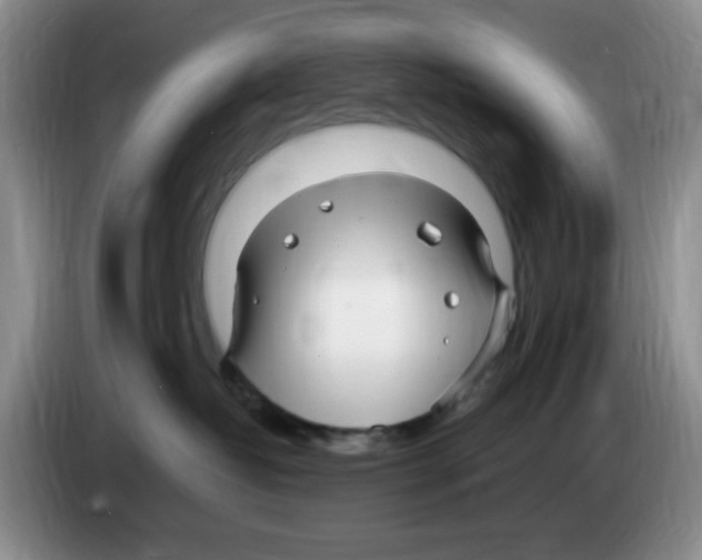 X0000083600382200703091746