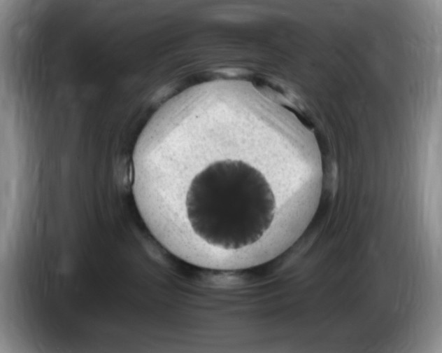 X0000083600383200703091746