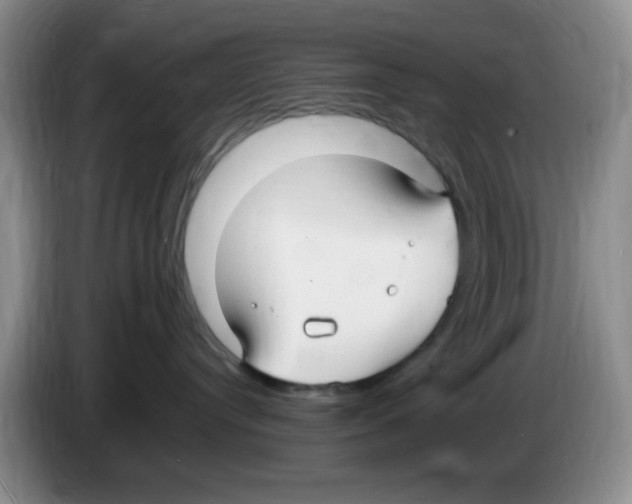 X0000083600384200703091746