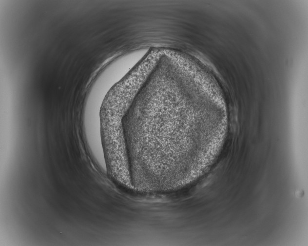 X0000083600386200703091746