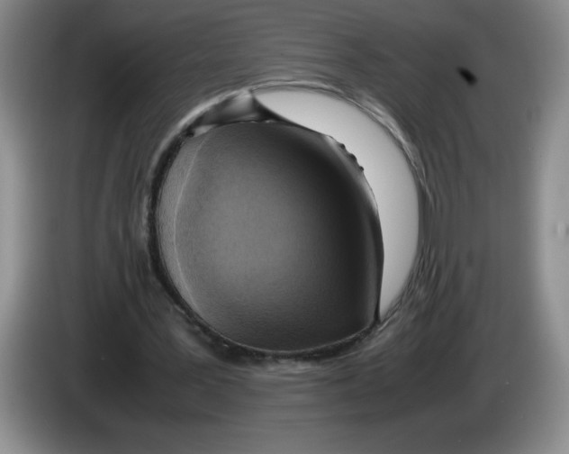 X0000083600387200703091746