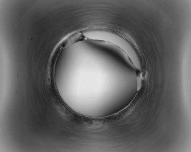 X0000083600388200703091746